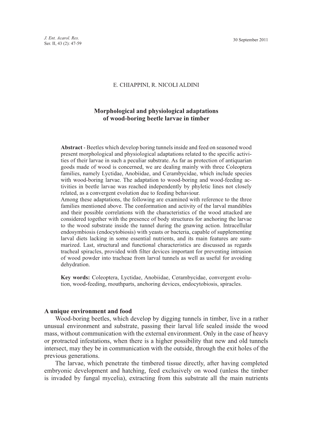 Morphological and Physiological Adaptations of Wood-Boring Beetle Larvae in Timber