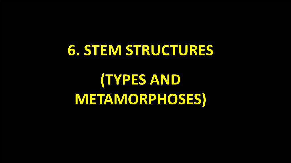 6. Stem Structures (Types and Metamorphoses) 2