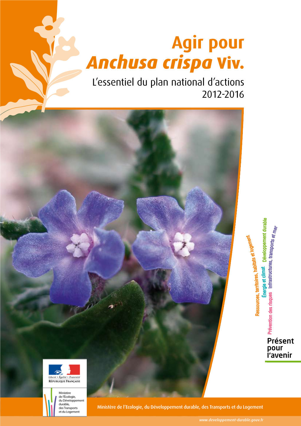 Anchusa Crispa Viv. L’Essentiel Du Plan National D’Actions 2012-2016