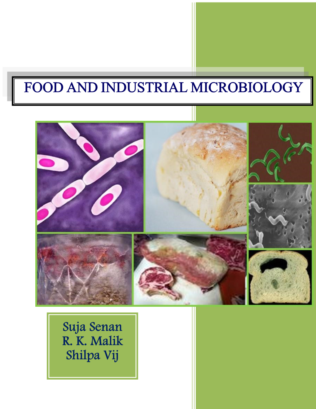 Food and Industrial Microbiology