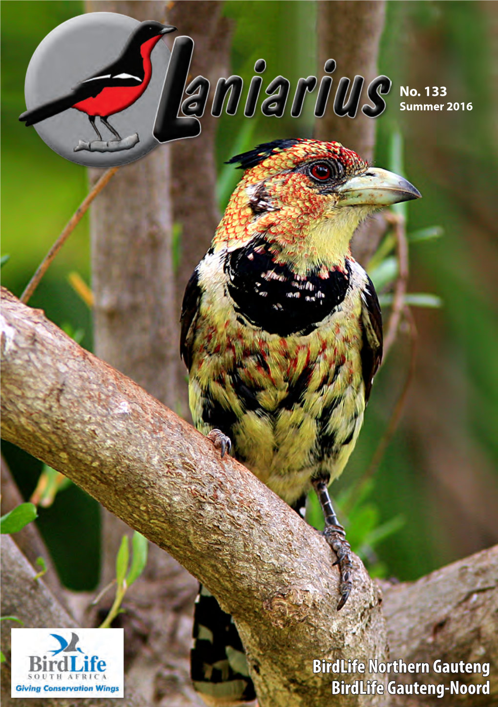 Birdlife Northern Gauteng Birdlife Gauteng-Noord Newsletter of Birdlife Northern Gauteng Nuusbrief Van Birdlife Gauteng-Noord