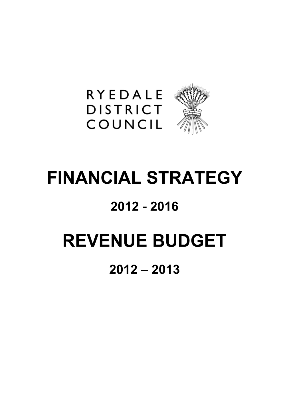 Financial Strategy Revenue Budget