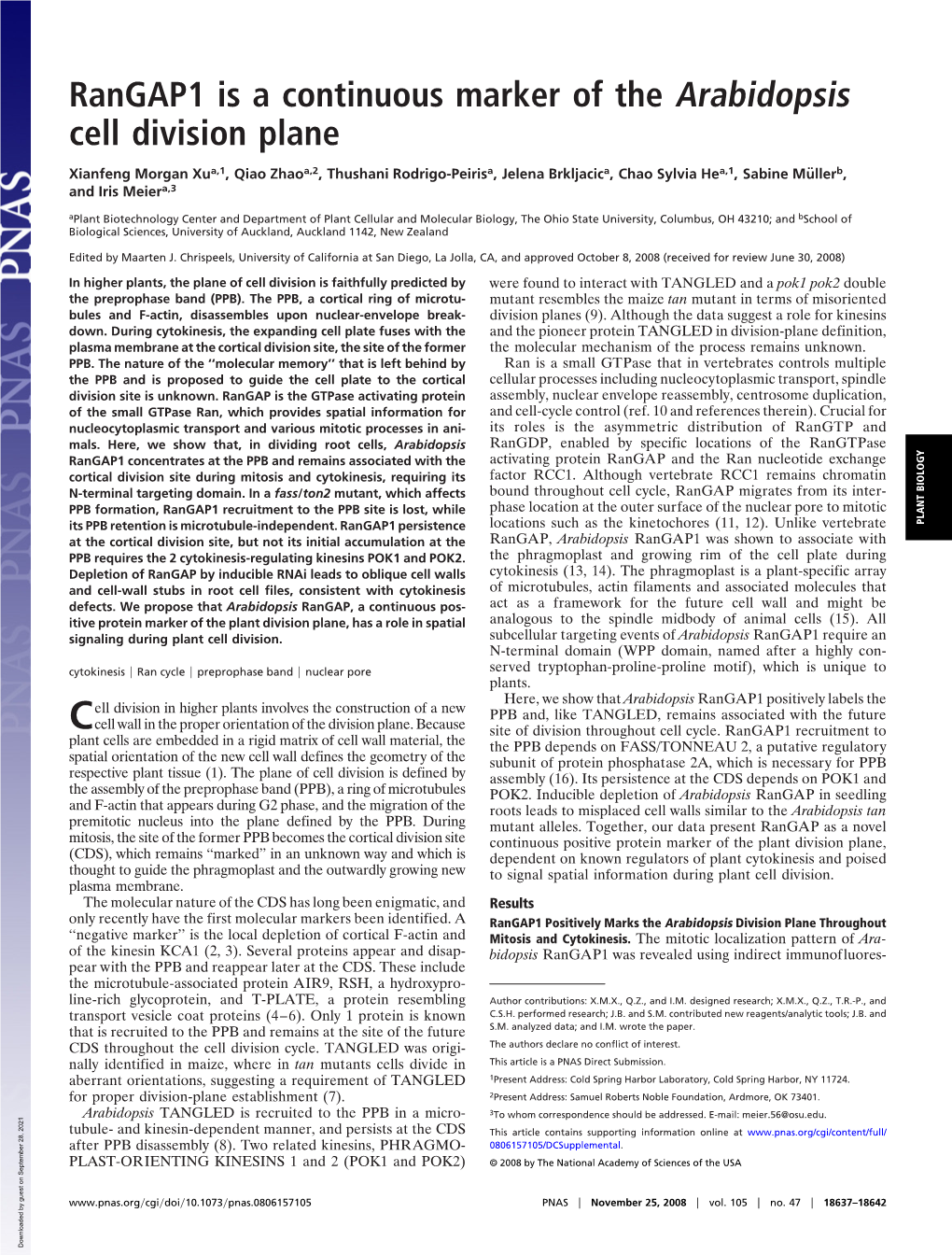 Rangap1 Is a Continuous Marker of the Arabidopsis Cell Division Plane