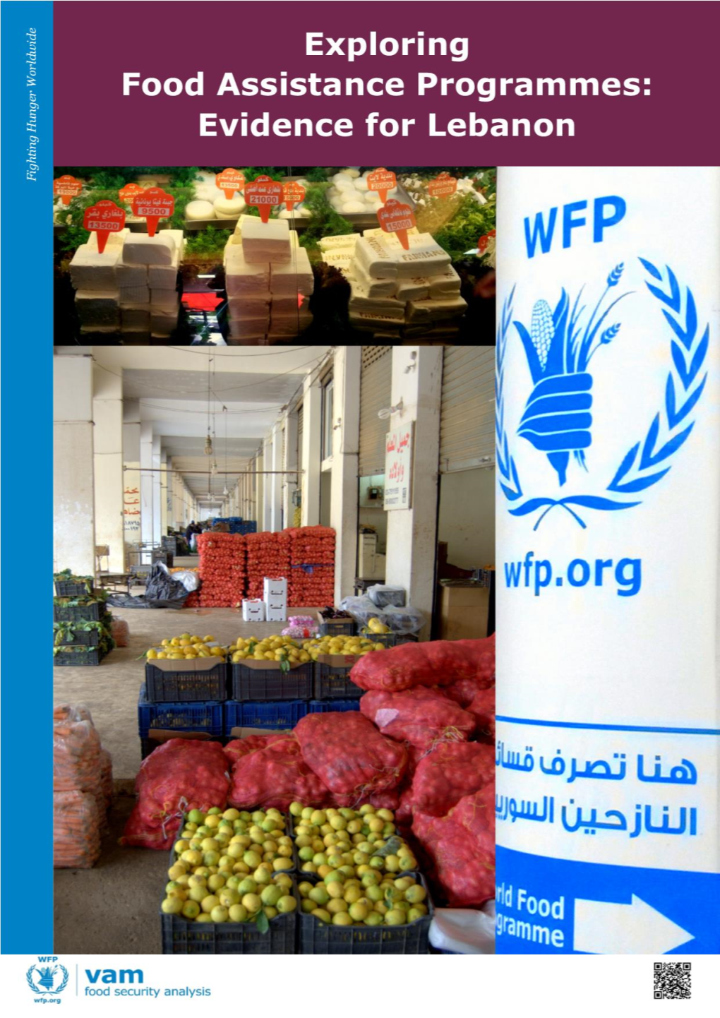 Exploring Food Assistance Programmes: Evidence for Lebanon