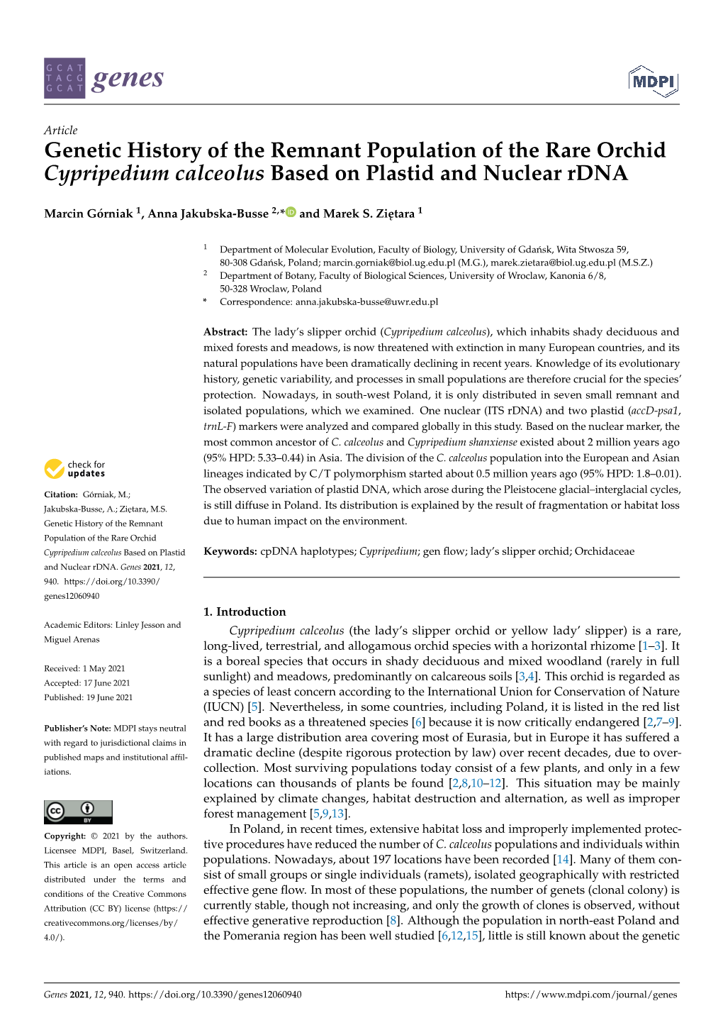 Genetic History of the Remnant Population of the Rare Orchid Cypripedium Calceolus Based on Plastid and Nuclear Rdna