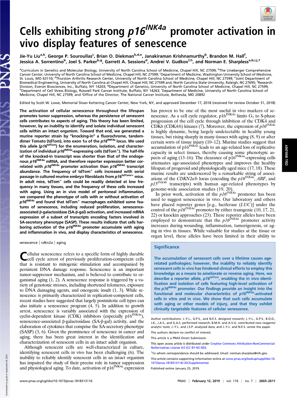 Cells Exhibiting Strong P16ink4a Promoter Activation in Vivo Display Features of Senescence