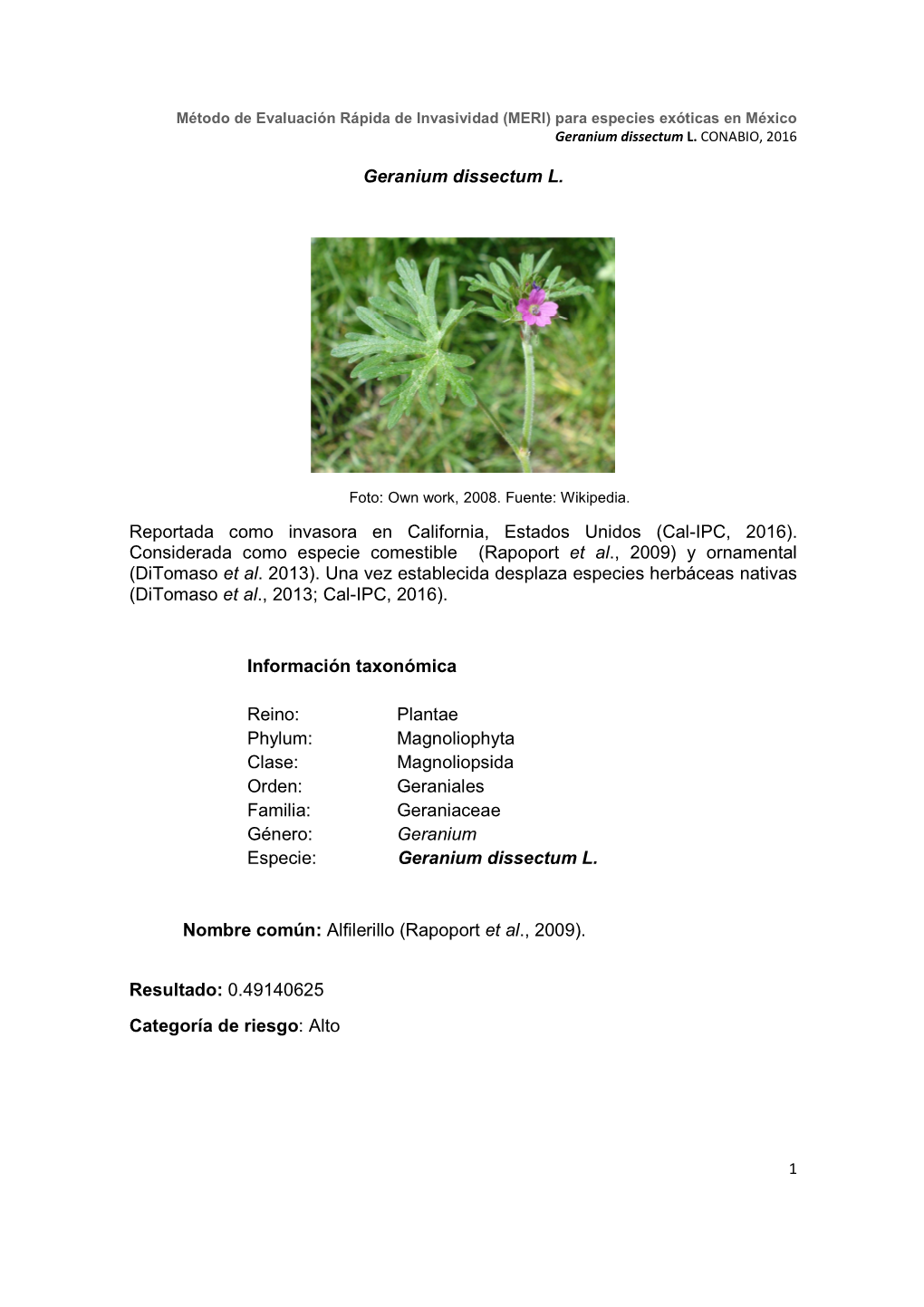 Geranium Dissectum.Pdf