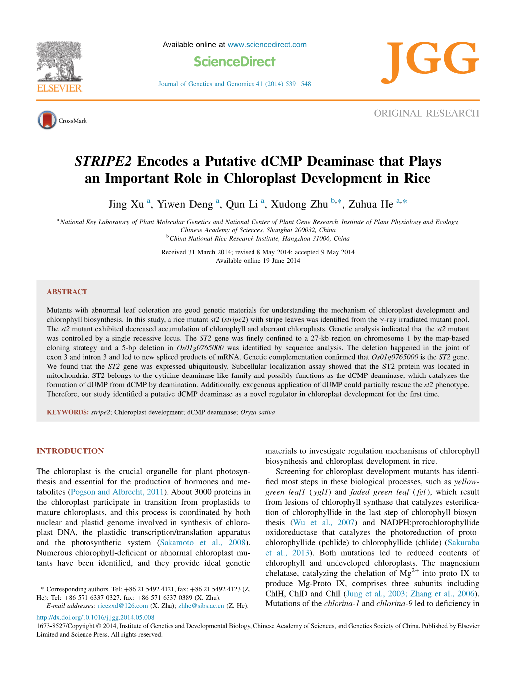 STRIPE2 Encodes a Putative Dcmp Deaminase That Plays an Important Role in Chloroplast Development in Rice