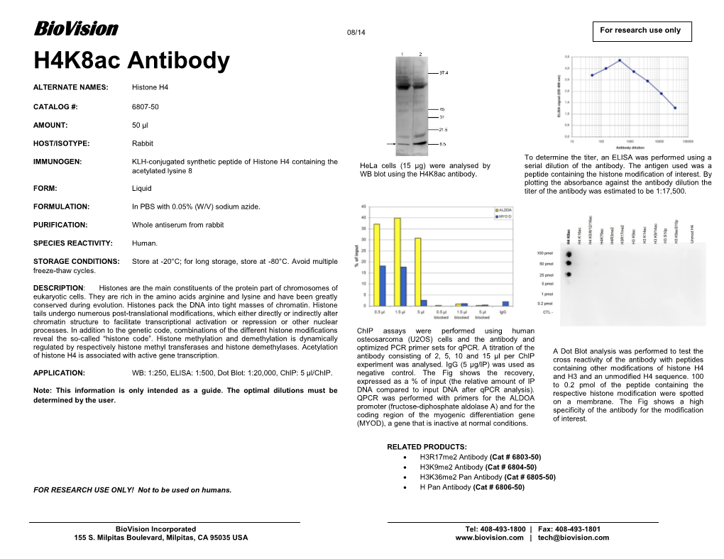 H4k8ac Antibody