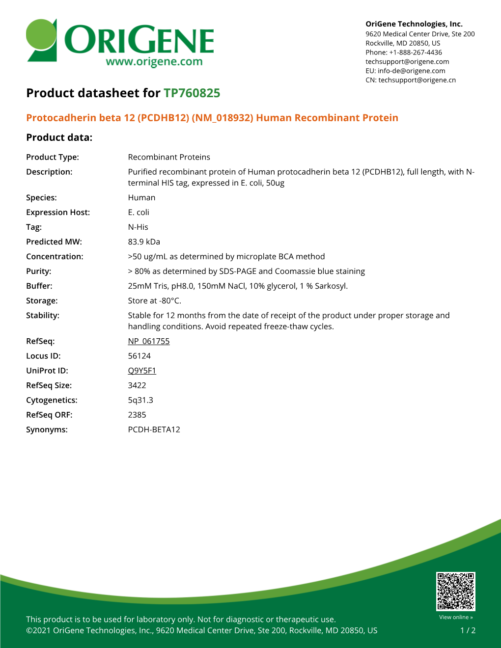 Protocadherin Beta 12 (PCDHB12) (NM 018932) Human Recombinant Protein Product Data