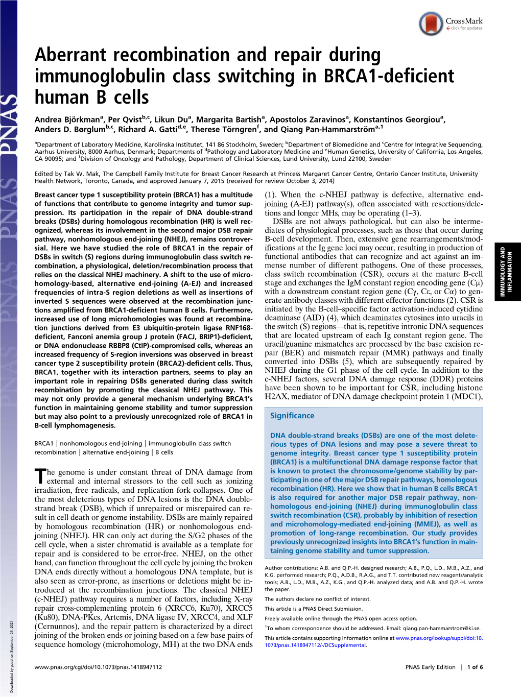 Aberrant Recombination and Repair During Immunoglobulin Class Switching in BRCA1-Deficient Human B Cells