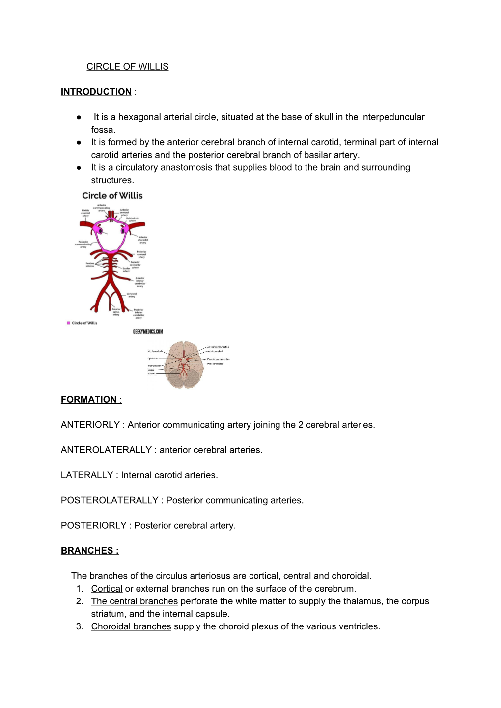 CIRCLE of WILLIS INTRODUCTION​: It Is a Hexagonal