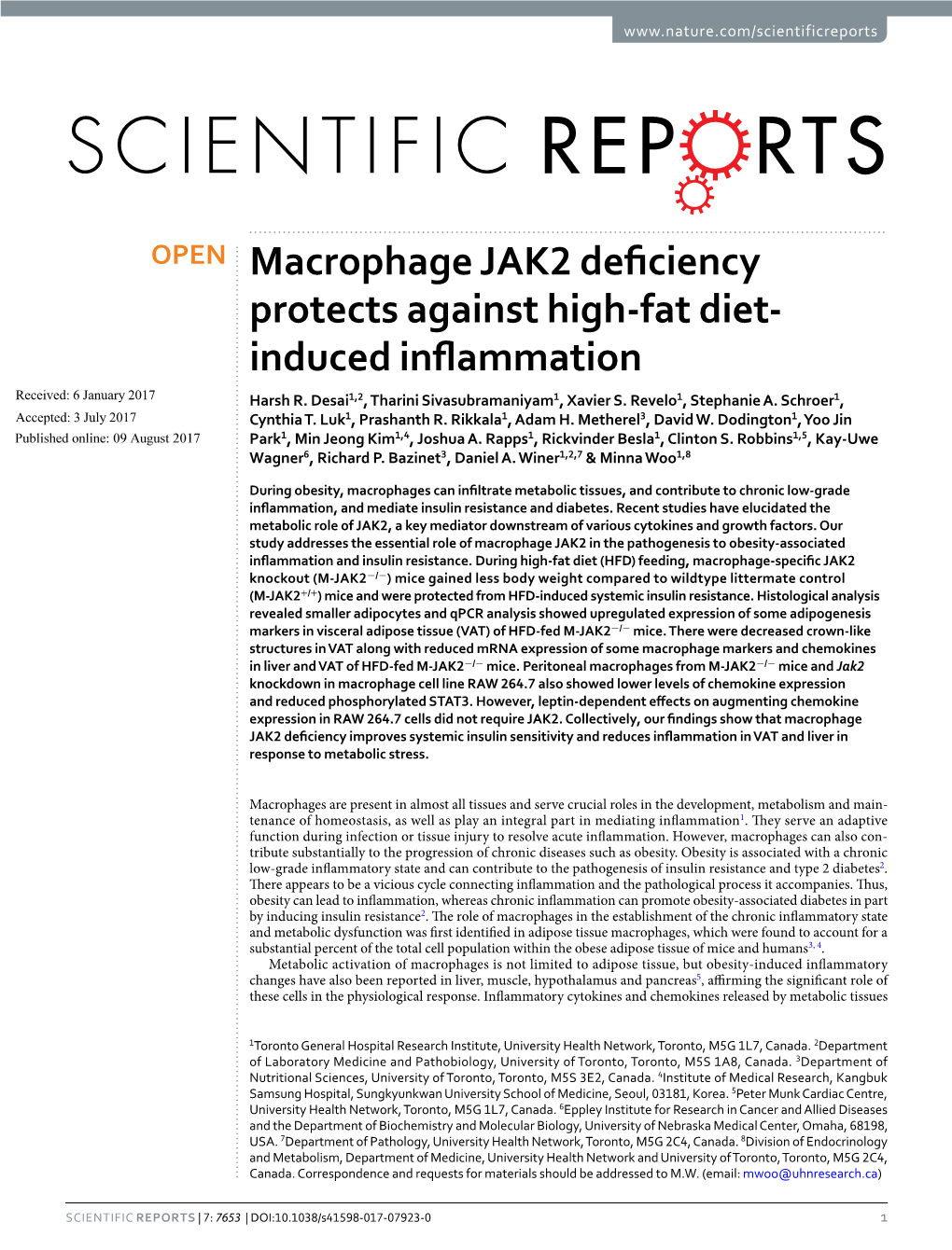 Macrophage JAK2 Deficiency Protects Against High-Fat Diet-Induced