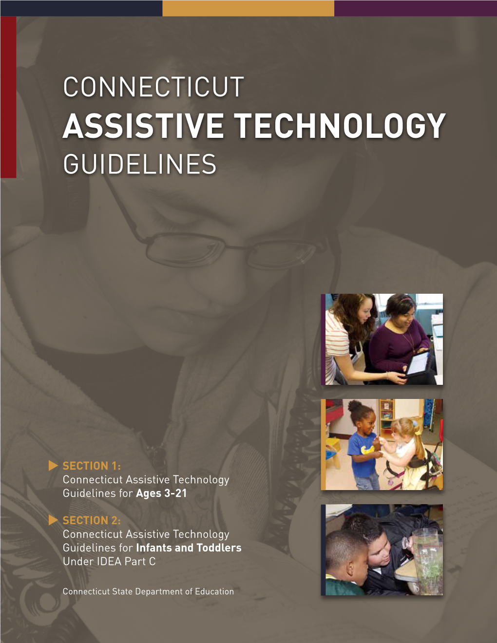 Connecticut Assistive Technology Guidelines