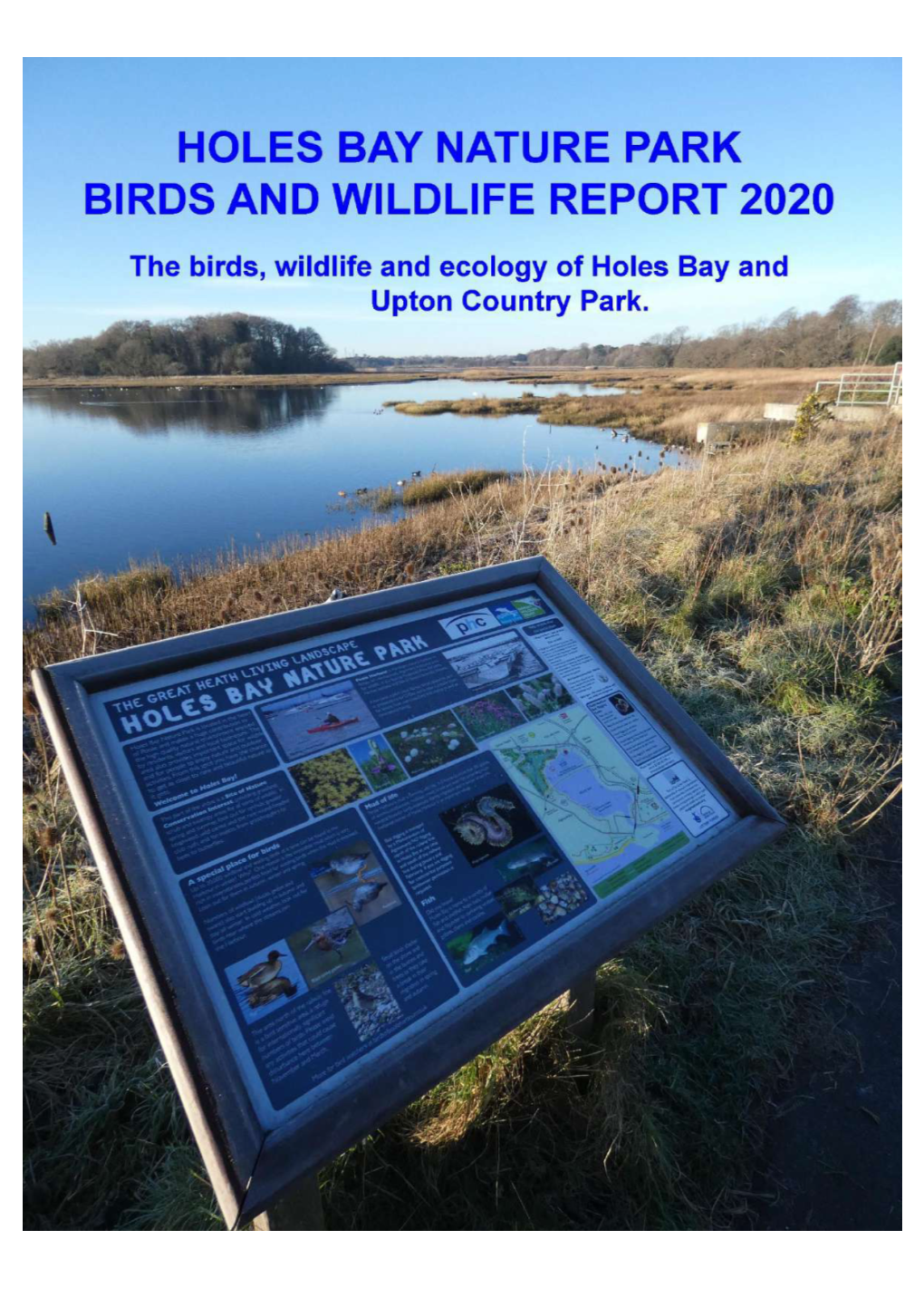 Holes Bay 2020 Annual Report