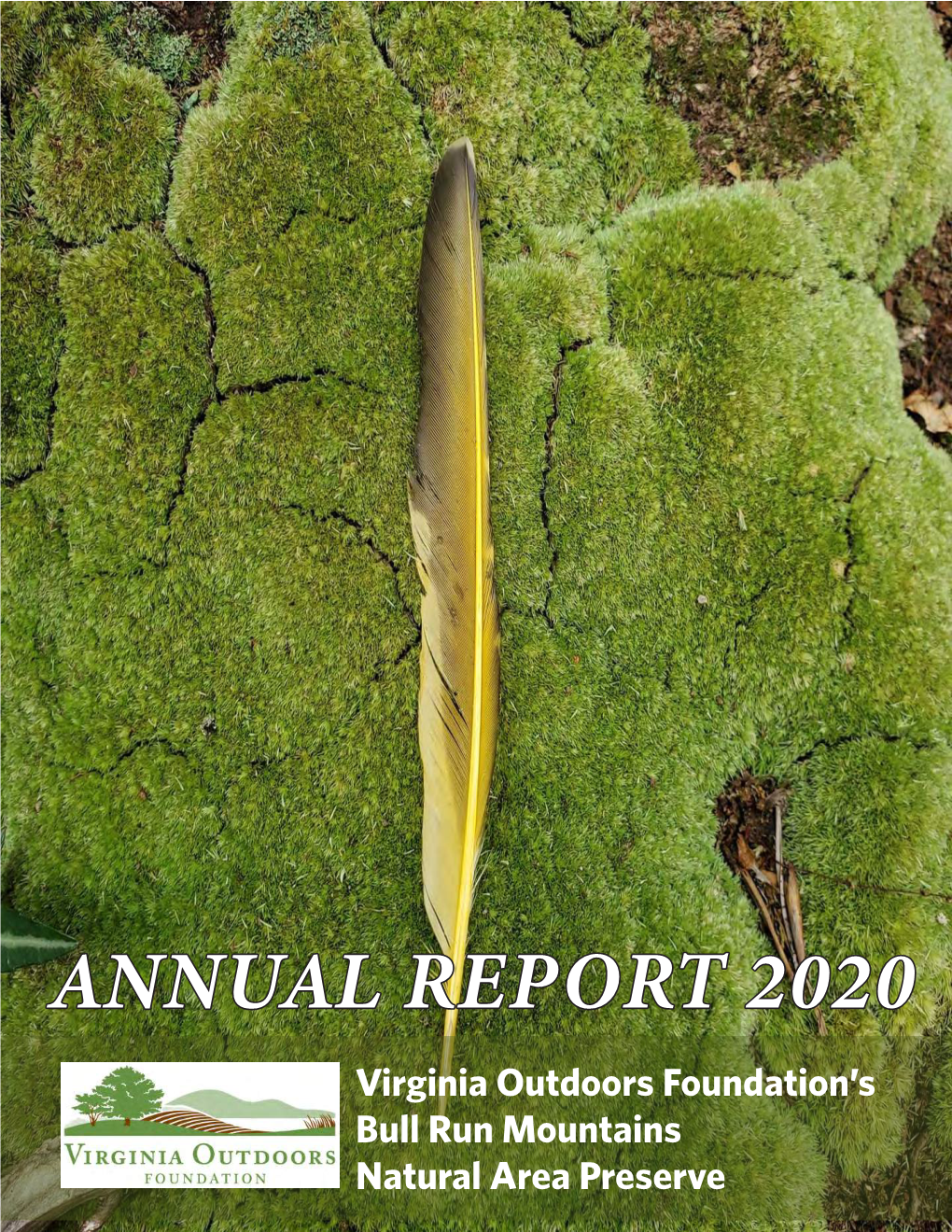 2020 Annual Report | 2 Looking North up the Bull Run Mountains from Thoroughfare Gap