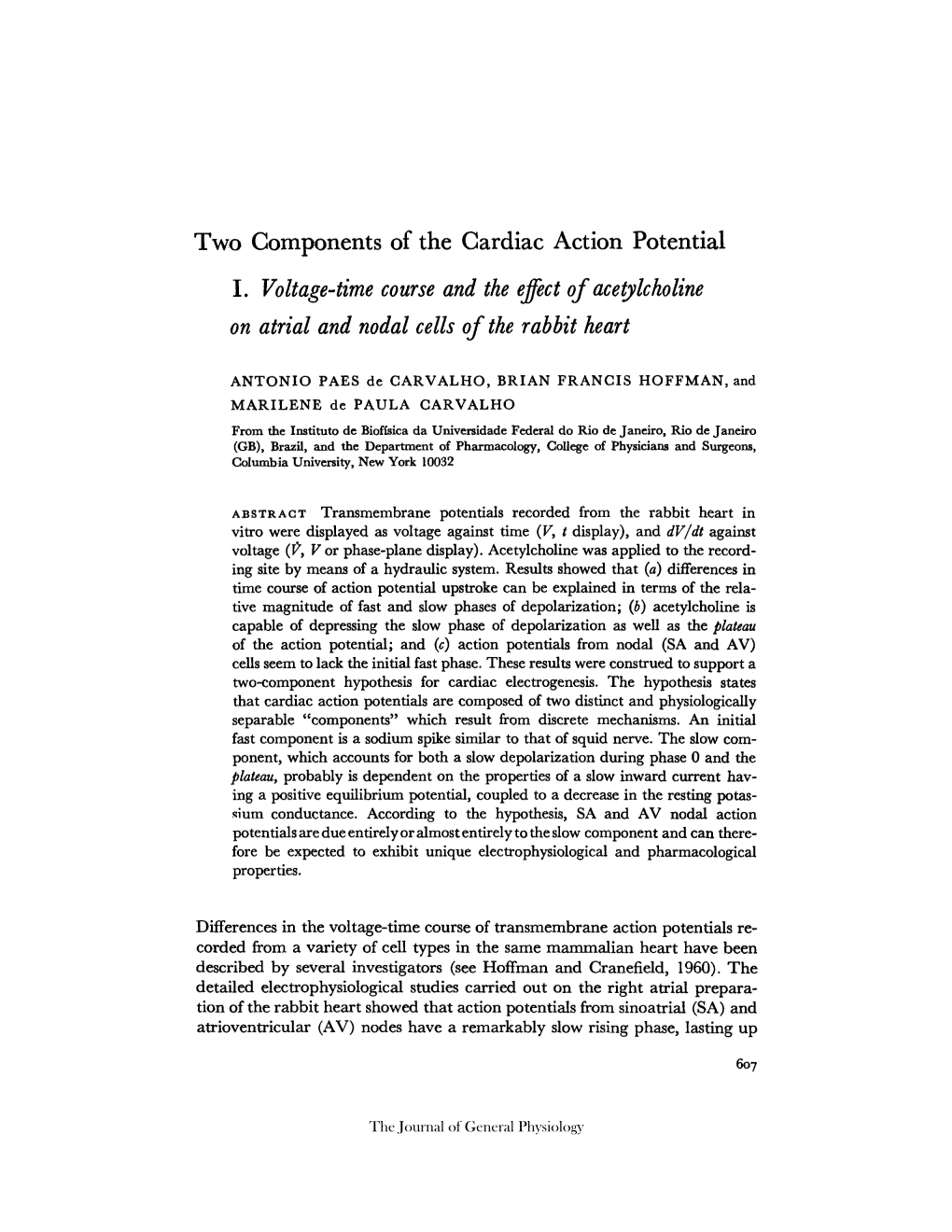 Two Components of the Cardiac Action Potential I