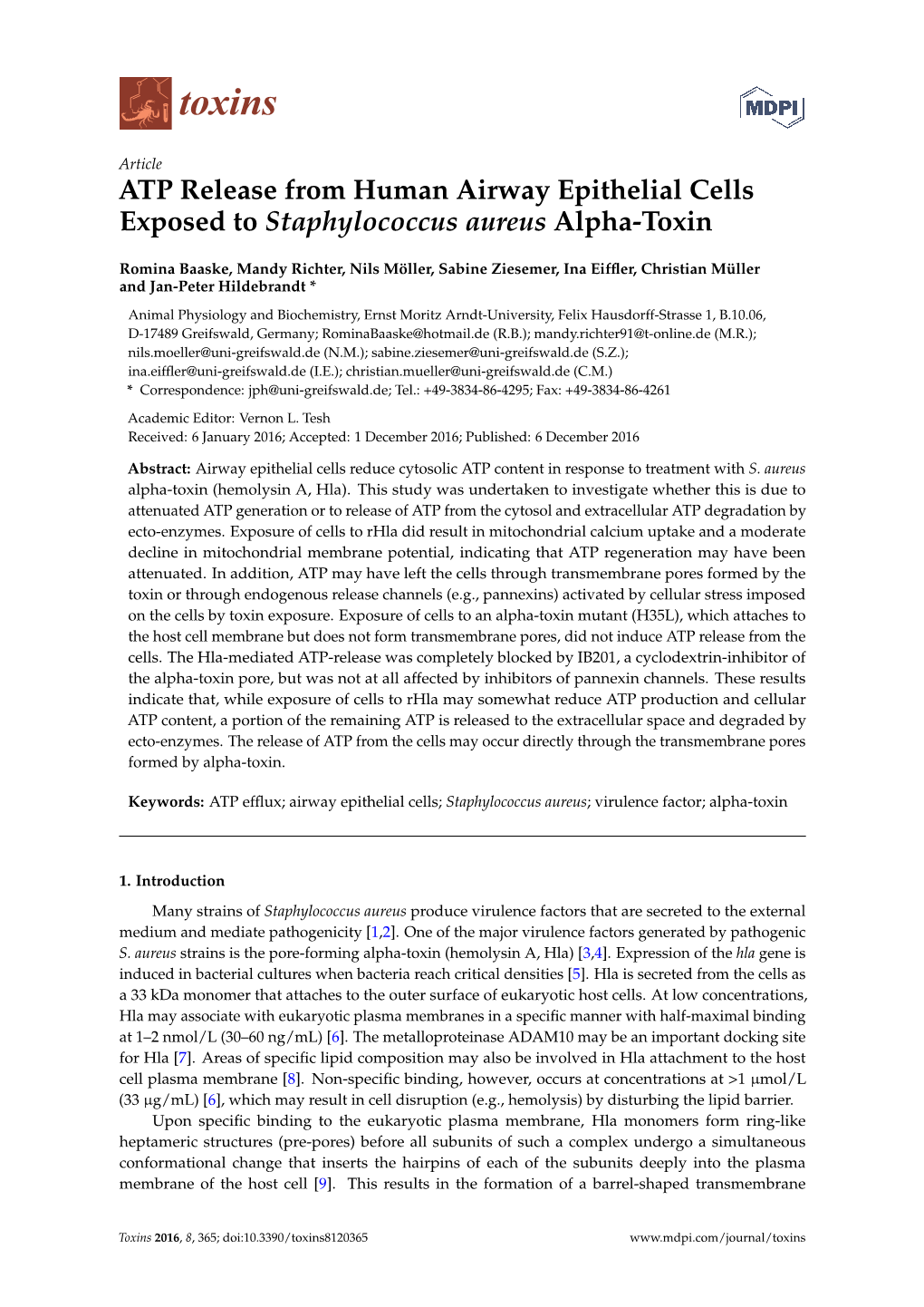 ATP Release from Human Airway Epithelial Cells Exposed to Staphylococcus Aureus Alpha-Toxin