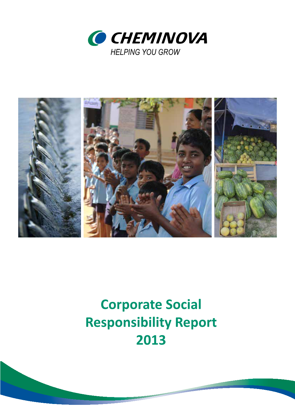 2013 Corporate Social Responsibility (CSR) Report