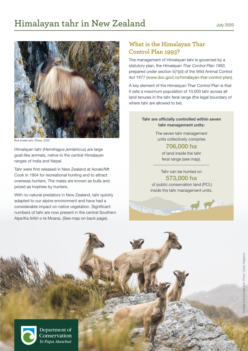 Himalayan Tahr in New Zealand Factsheet