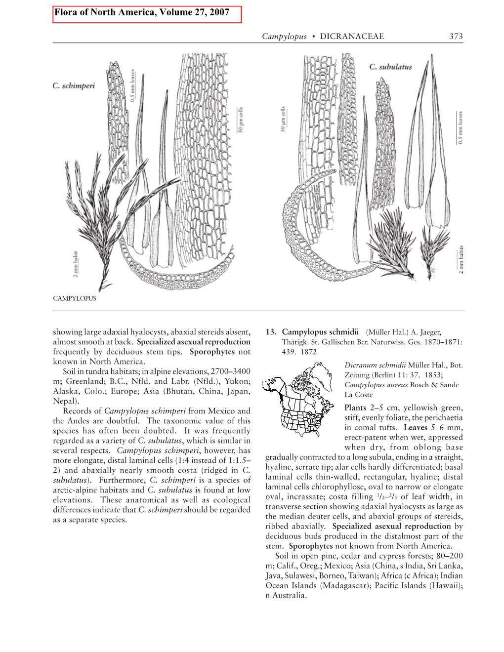 Flora of North America, Volume 27, 2007