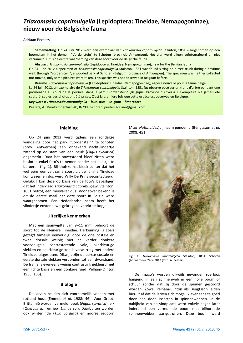 Triaxomasia Caprimulgella (Lepidoptera: Tineidae, Nemapogoninae), Nieuw Voor De Belgische Fauna