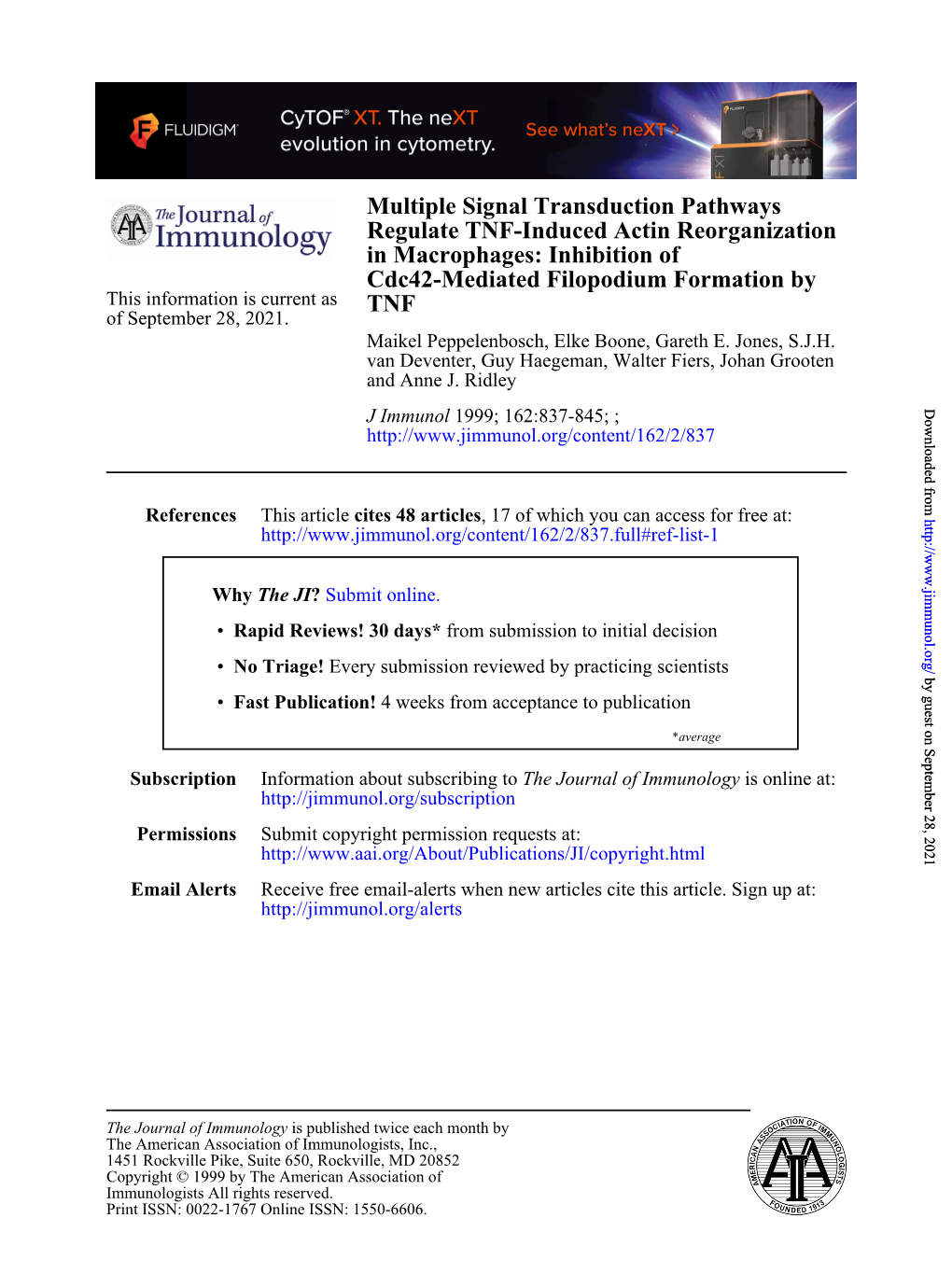 TNF Cdc42-Mediated Filopodium