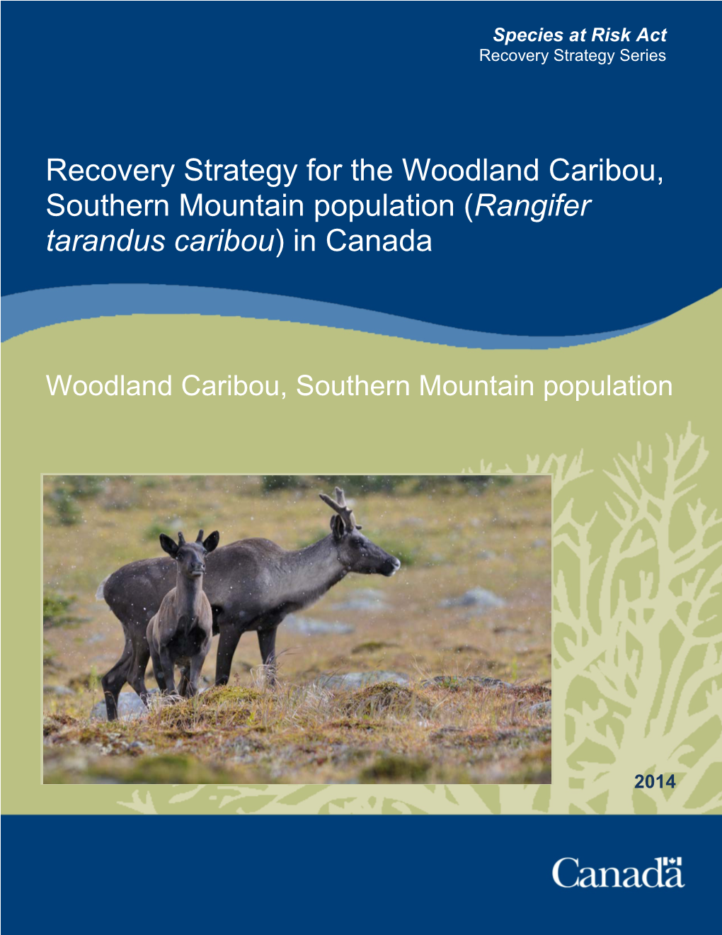 Strategy for the Woodland Caribou, Southern Mountain Population (Rangifer Tarandus Caribou) in Canada