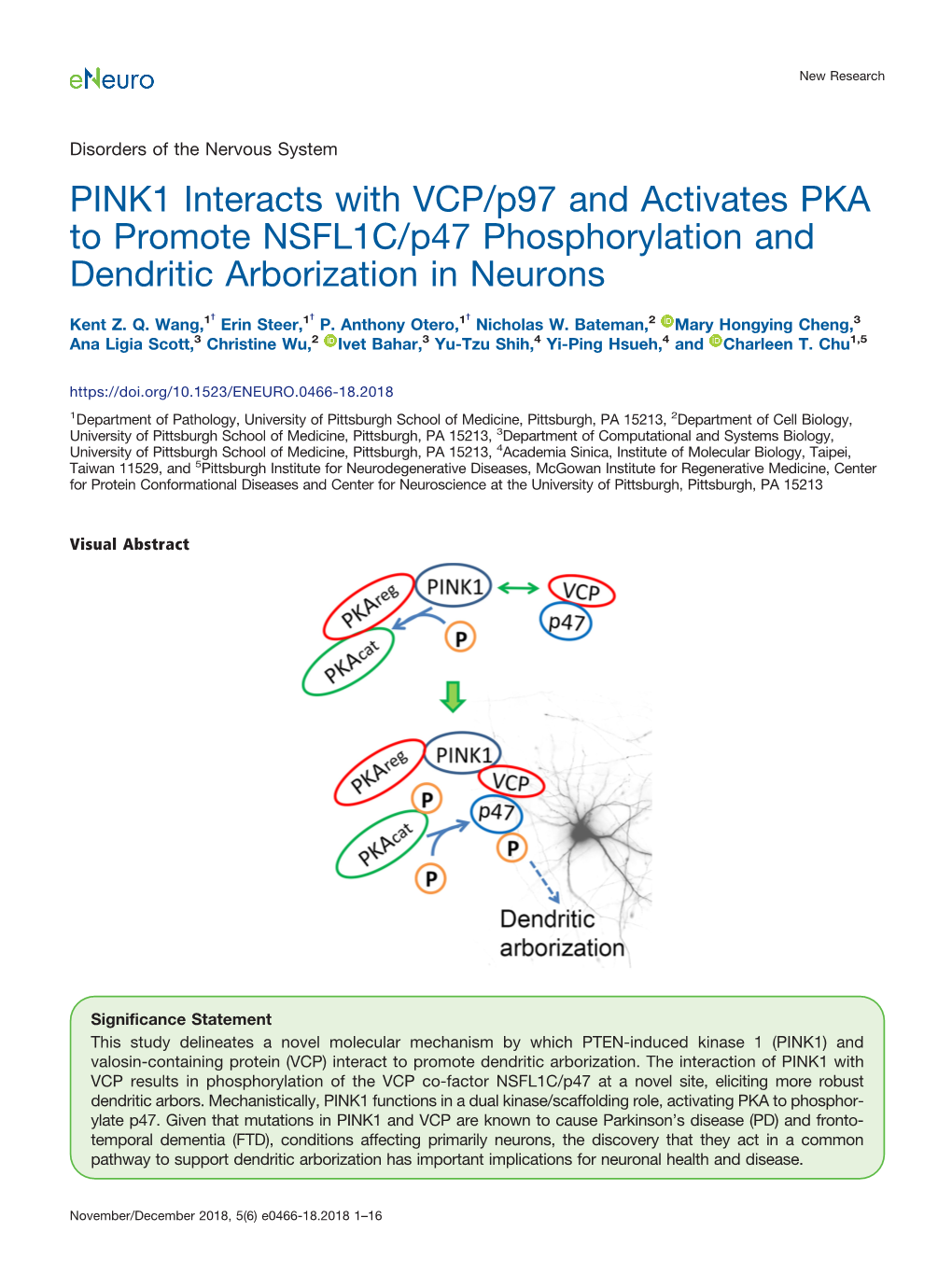 PINK1 Interacts with VCP/P97 and Activates PKA to Promote NSFL1C/P47 Phosphorylation and Dendritic Arborization in Neurons