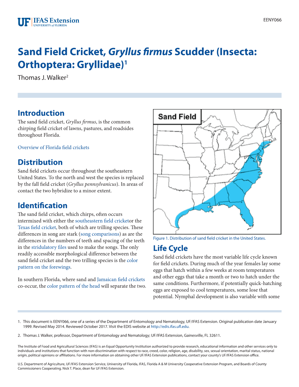 Sand Field Cricket, Gryllus Firmus Scudder (Insecta: Orthoptera: Gryllidae)1 Thomas J