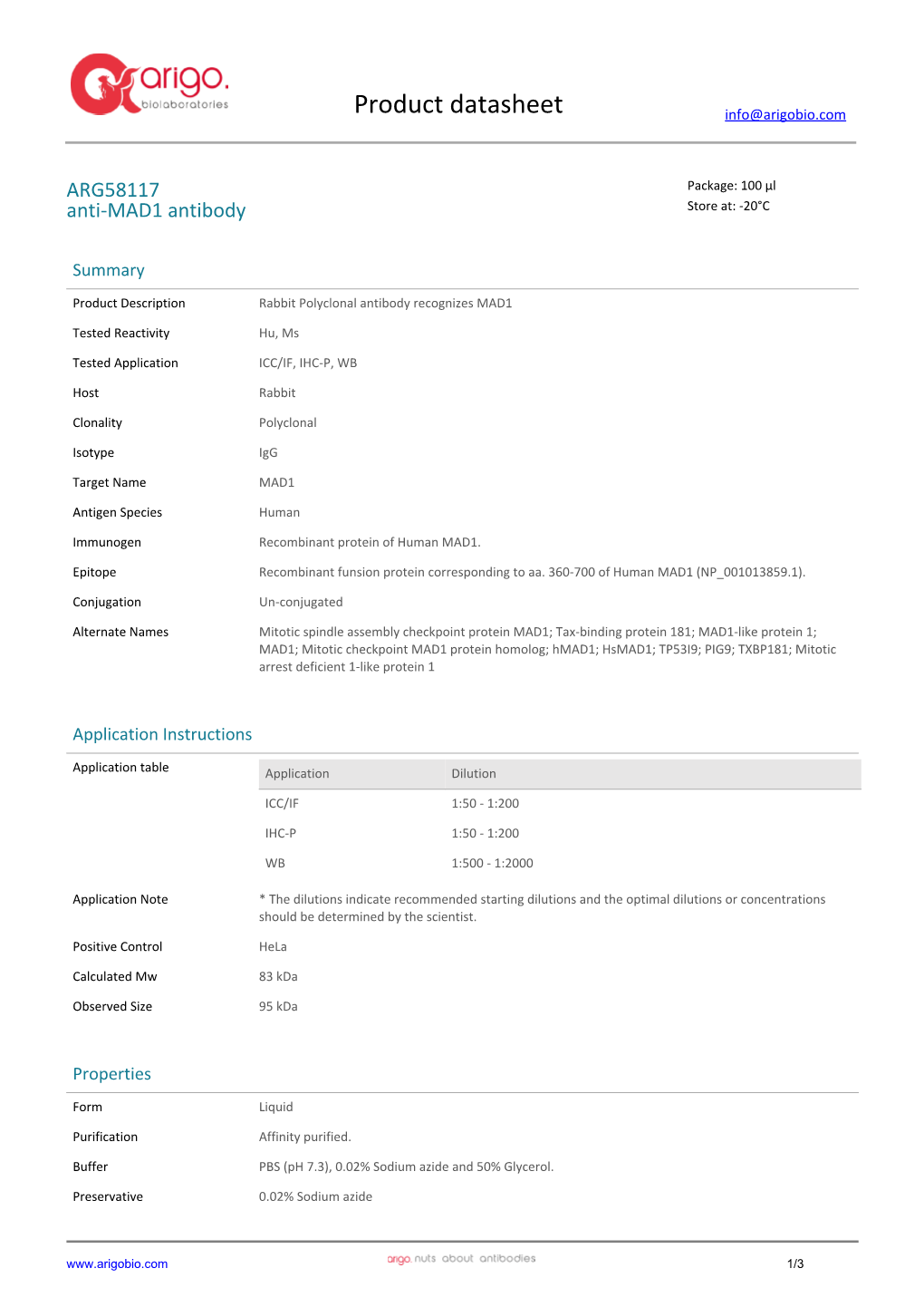 Anti-MAD1 Antibody (ARG58117)