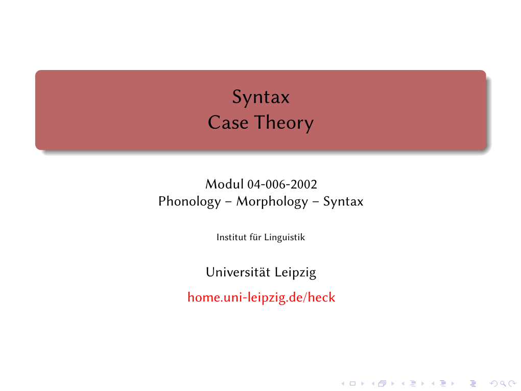 Syntax Case Theory