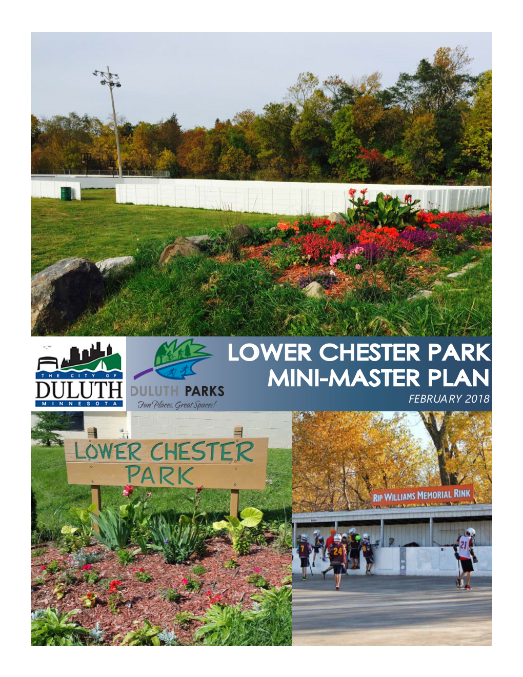 Lower Chester Park Mini-Master Plan February 2018 Acknowledgments