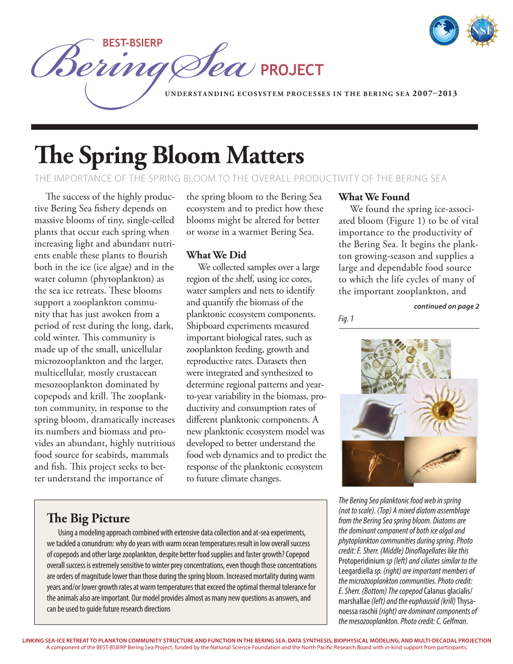 The Spring Bloom Matters