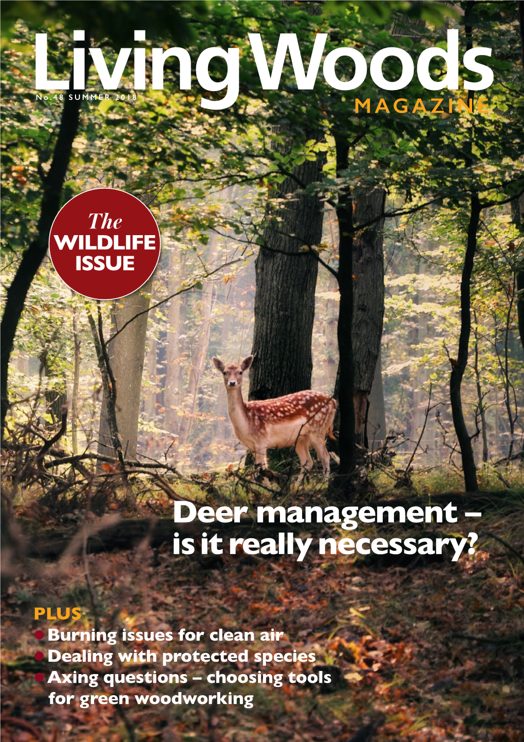 Deer Management – Is It Really Necessary?