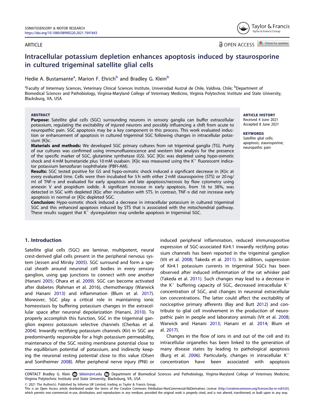 Intracellular Potassium Depletion Enhances Apoptosis Induced by Staurosporine in Cultured Trigeminal Satellite Glial Cells