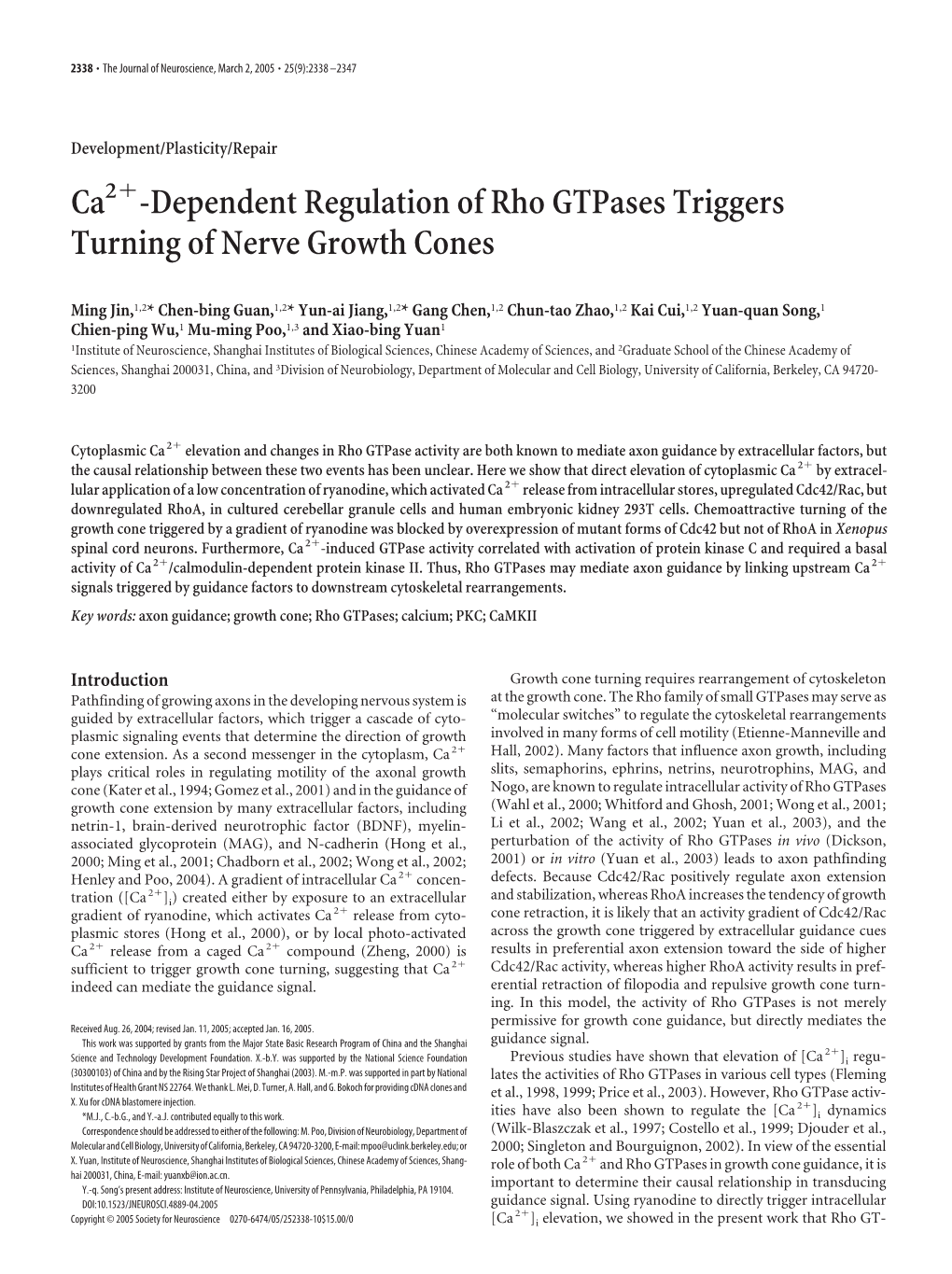 Ca -Dependent Regulation of Rho Gtpases Triggers Turning of Nerve Growth Cones