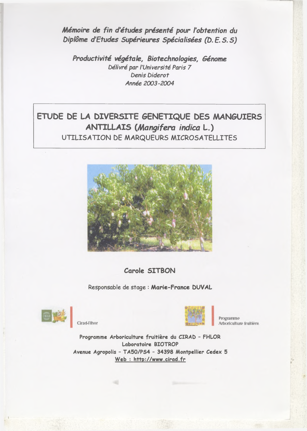 SITBON-2004-Diversite Genetique Manguiers Antillais.Pdf