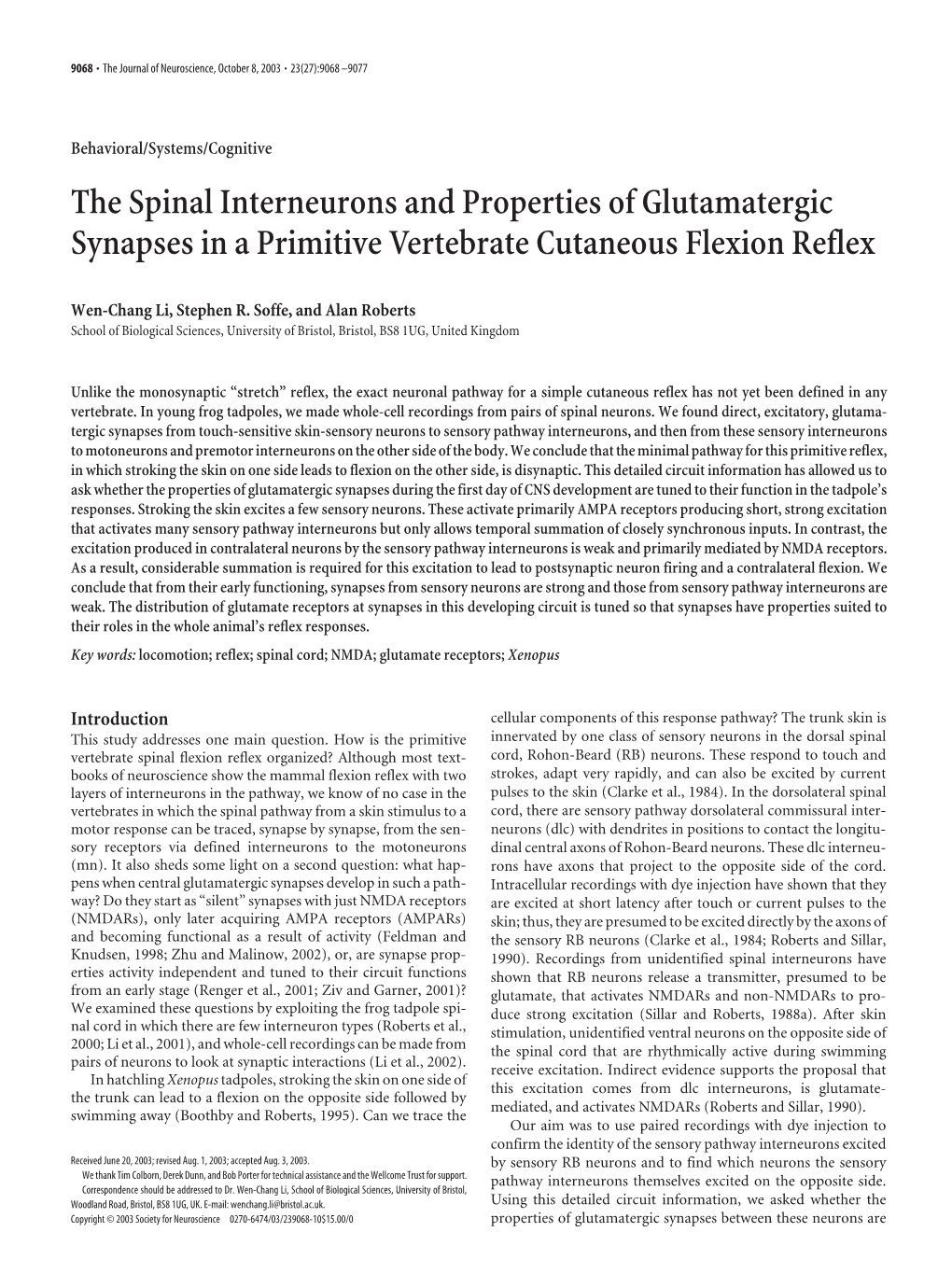 The Spinal Interneurons and Properties of Glutamatergic Synapses in a Primitive Vertebrate Cutaneous Flexion Reflex
