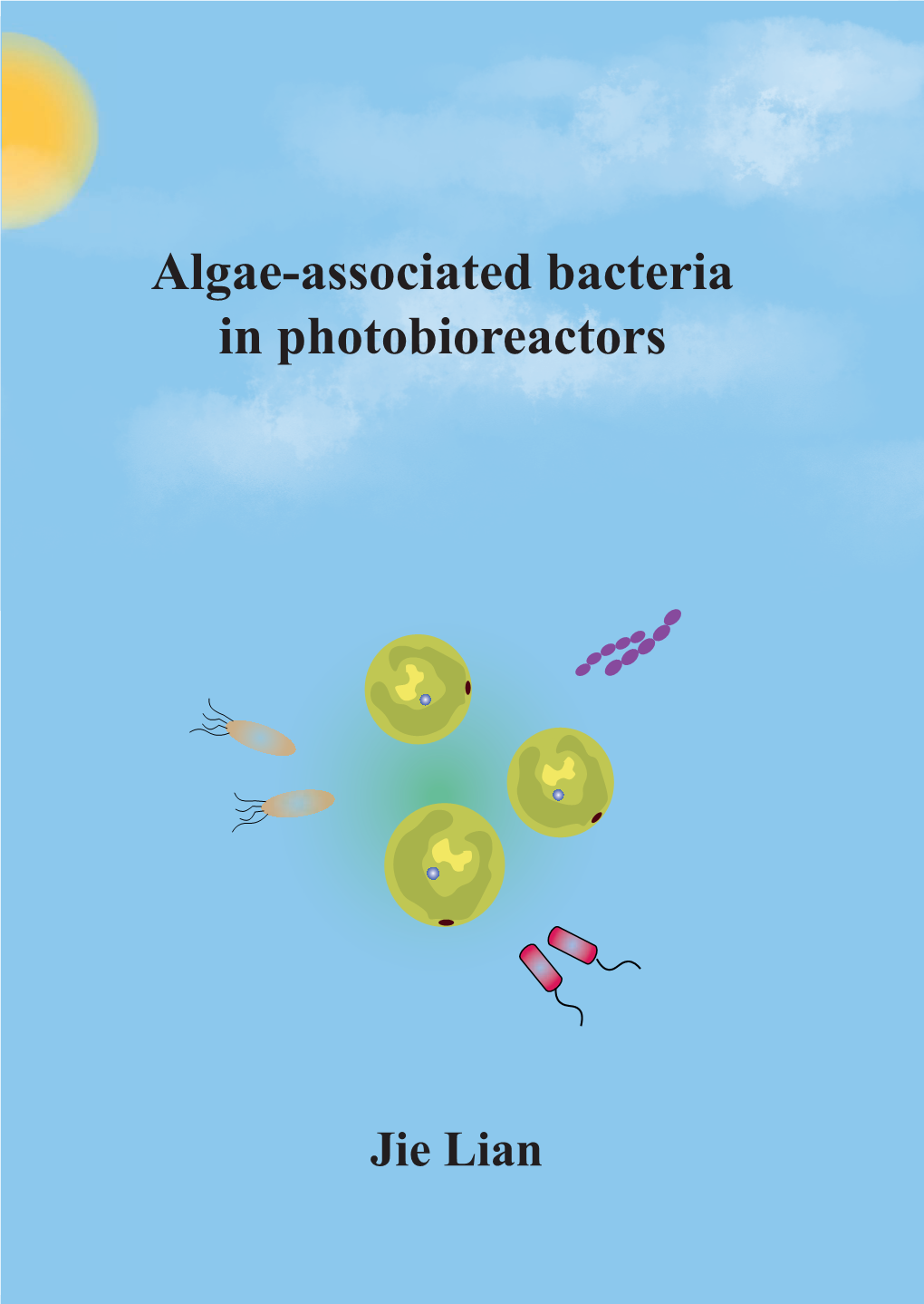 Algae-Associated Bacteria in Photobioreactors