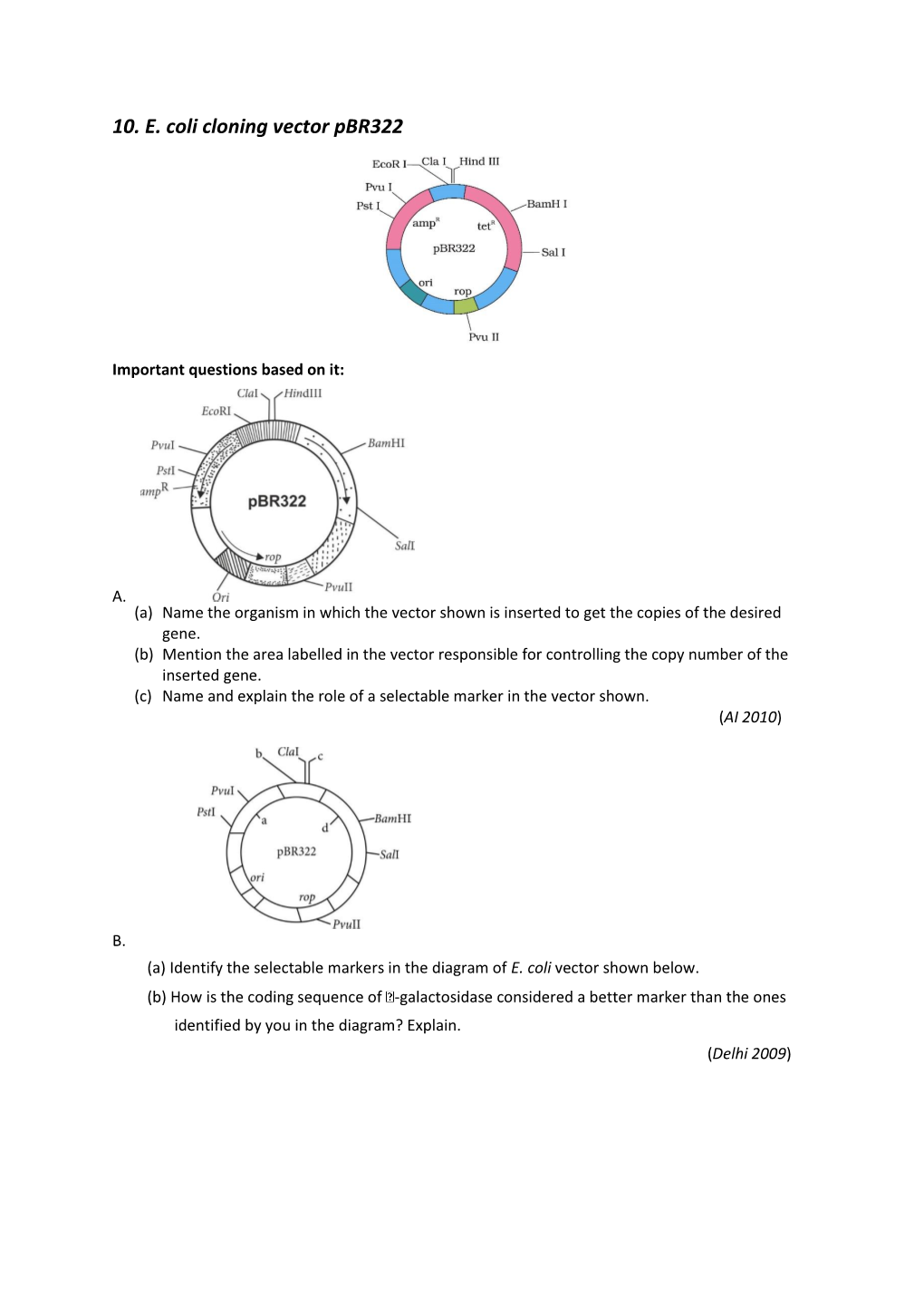 10. E. Coli Cloning Vector Pbr322