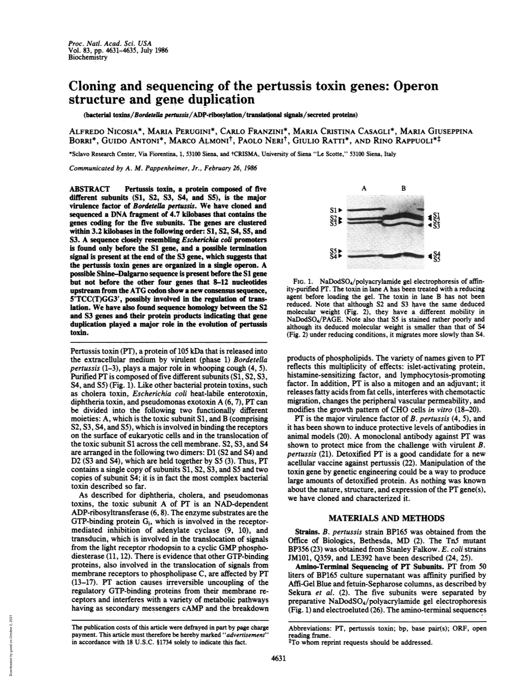 Cloning and Sequencing of the Pertussis Toxin Genes