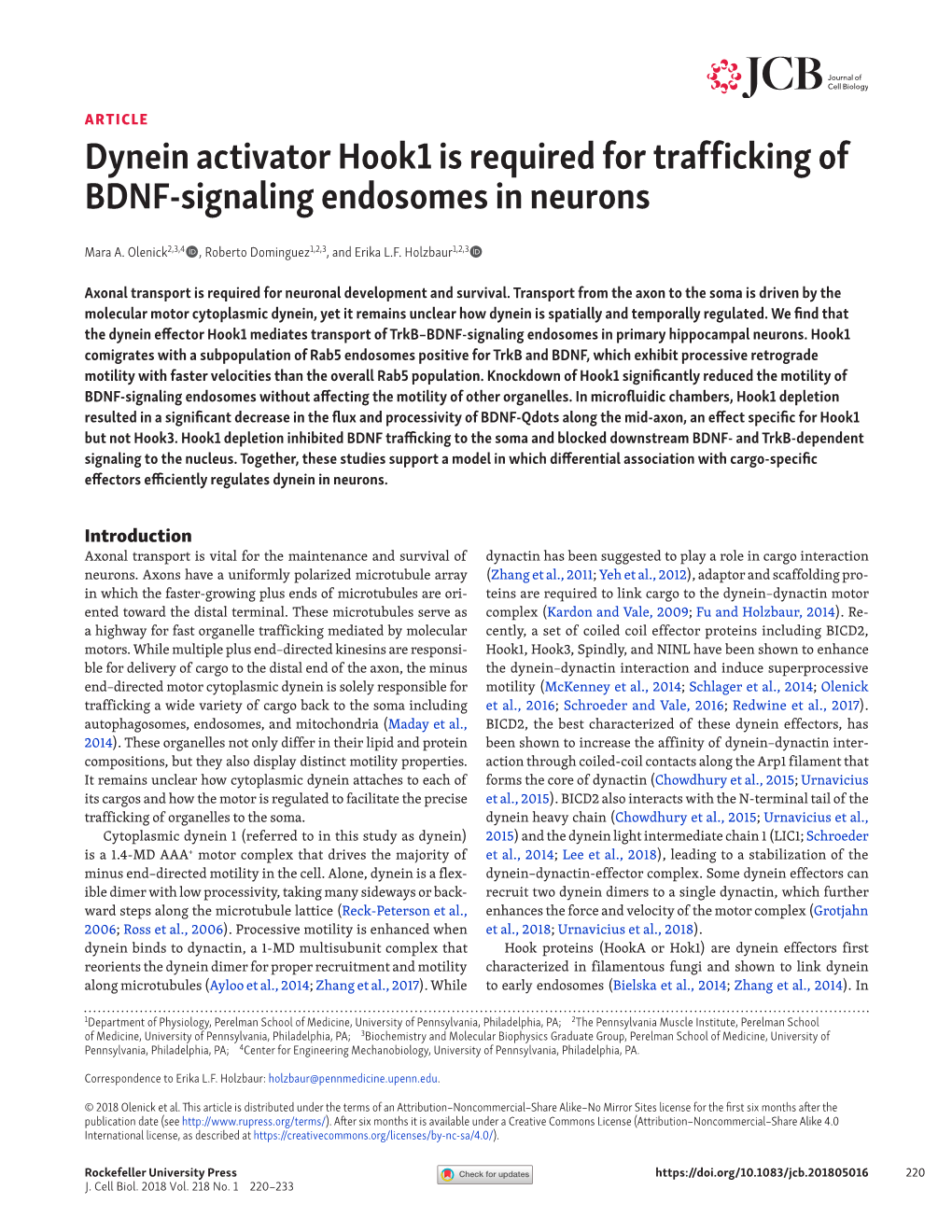 Dynein Activator Hook1 Is Required for Trafficking of BDNF-Signaling Endosomes in Neurons