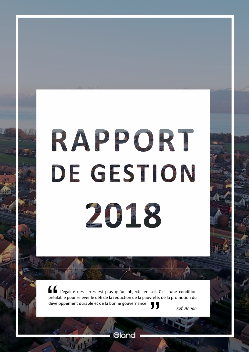 Rapport De Gestion 2018