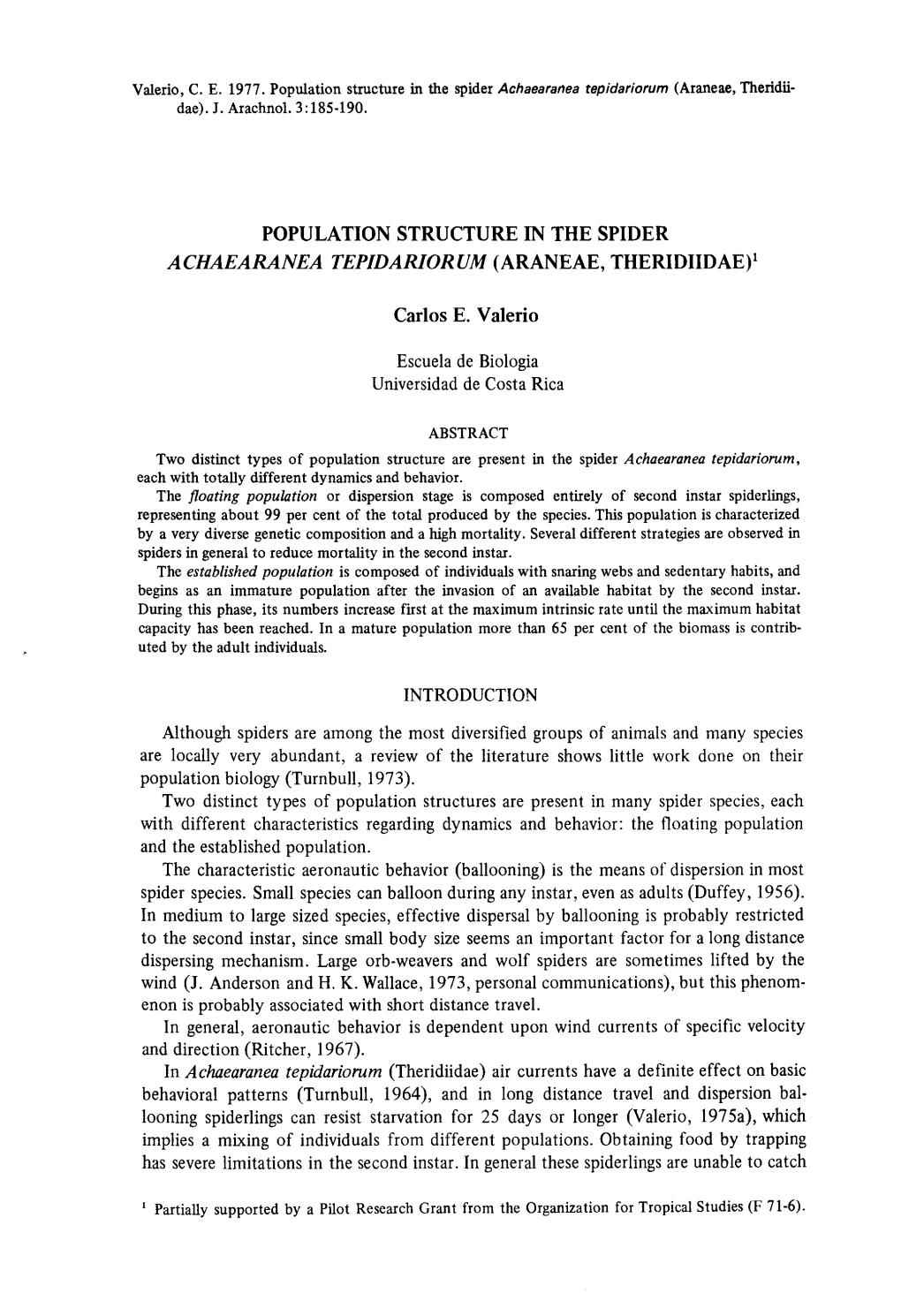 Population Structure in the Spider Achaearanea Tepidariorum (Araneae, Theridri- Dae)