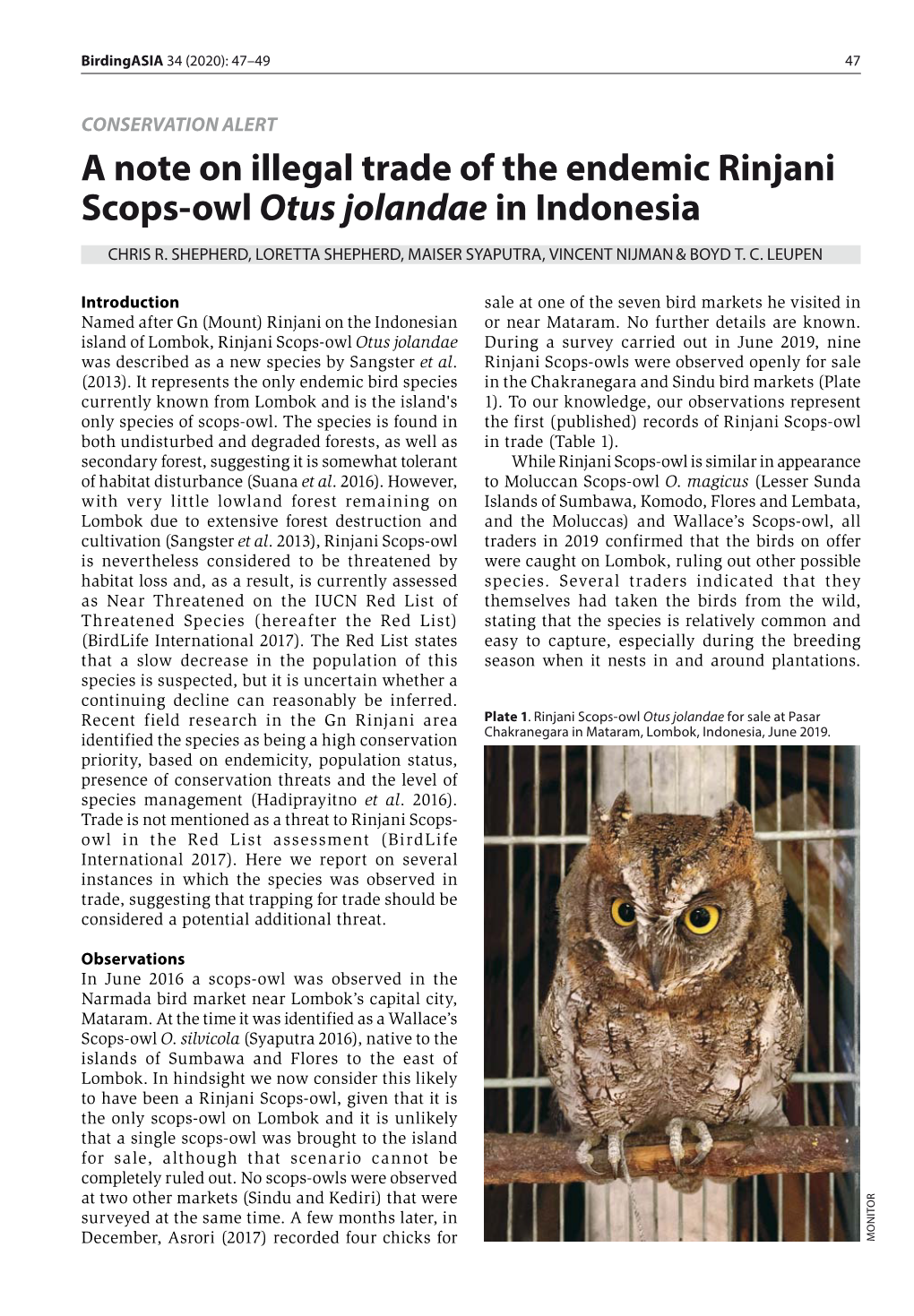 A Note on Illegal Trade of the Endemic Rinjani Scops-Owl Otus Jolandae in Indonesia