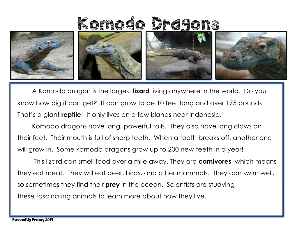 Komodo Dragon (Read-Only)