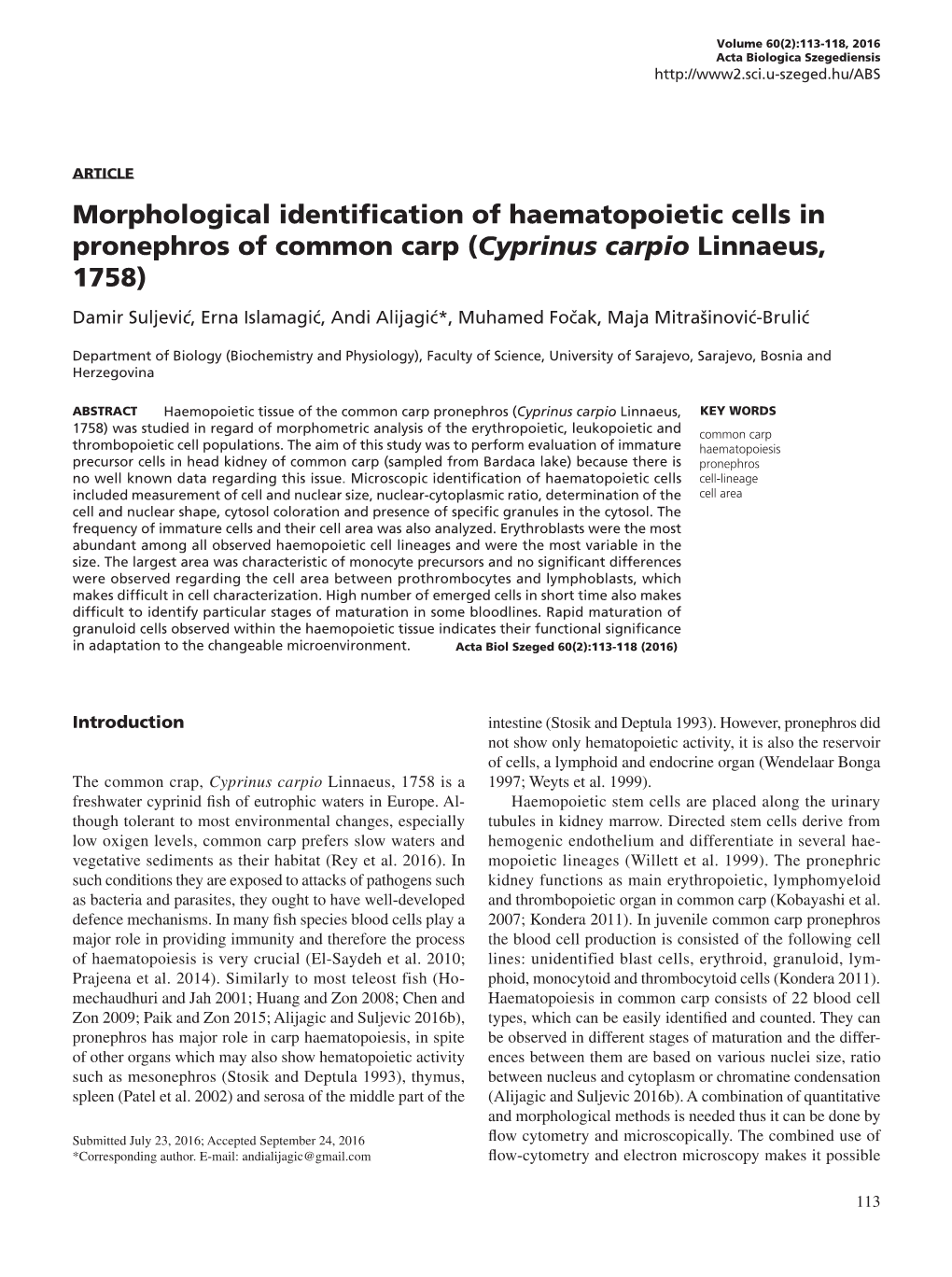 Morphological Identification of Haematopoietic Cells in Pronephros