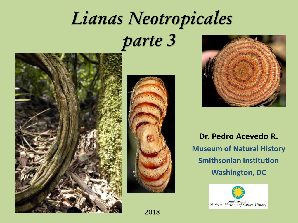 Lianas Neotropicales, Parte 3