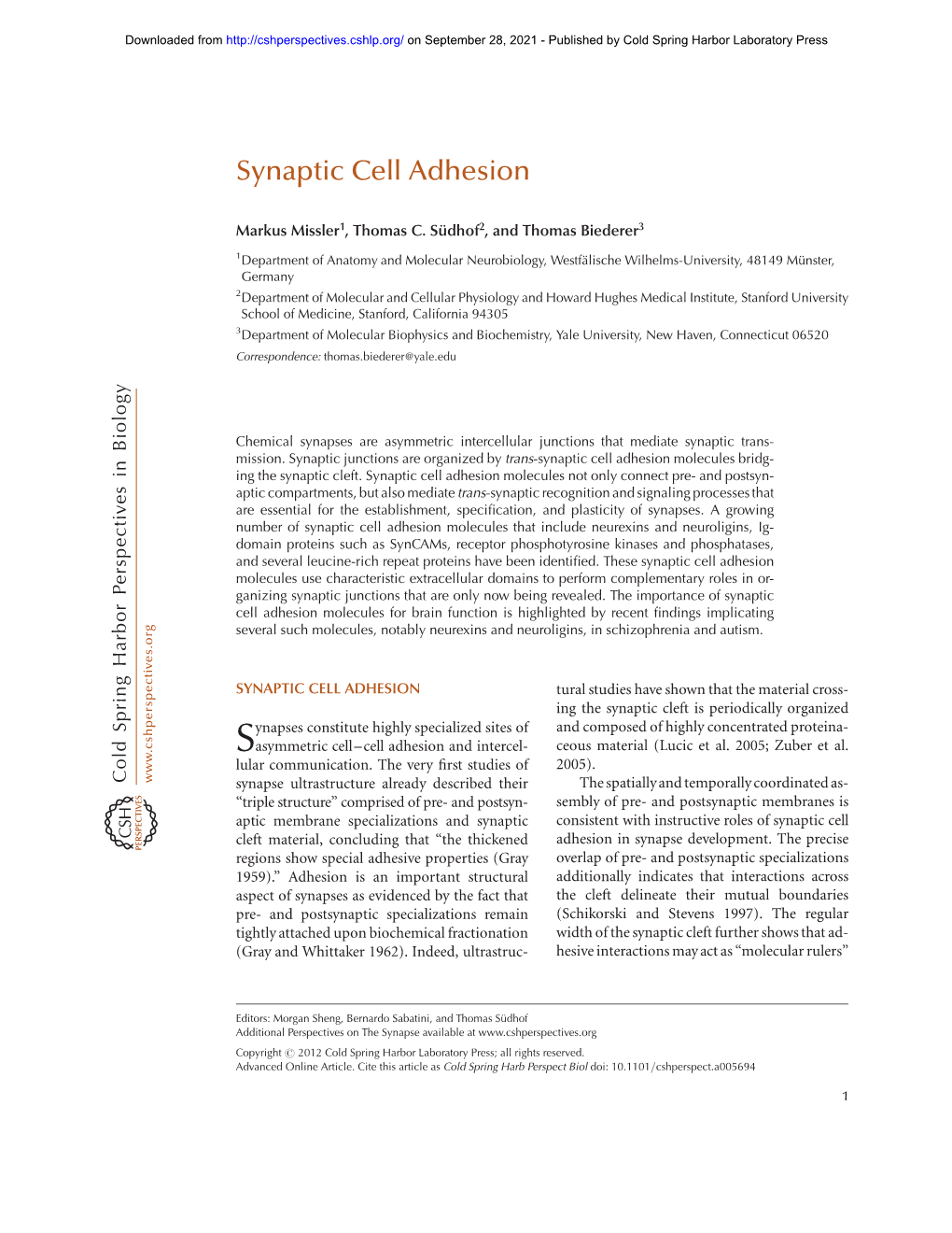 Synaptic Cell Adhesion